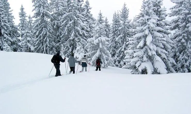 Hotel Seeblick-1